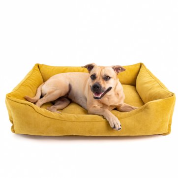 Pet Bed large