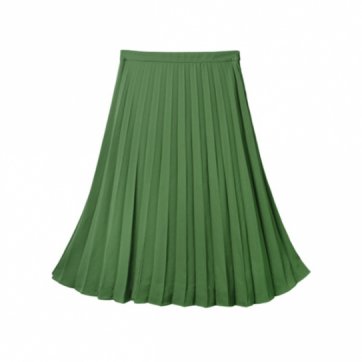 Pleated Skirt