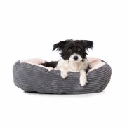 Pet Bed small